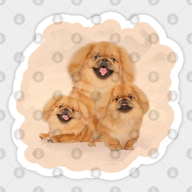 Pekingese dogs collage Sticker by Nartissima